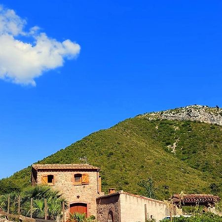 Corral D'En Romagosa Guest House Begues Luaran gambar